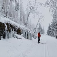Winter-Harzwochenende