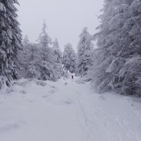 Winter-Harzwochenende