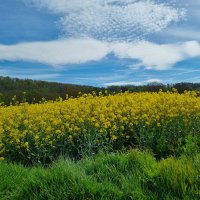 Radlerinnentour an der Weser