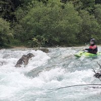 Wildwasser im Raum Mittenwald