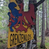 Wildwasser im Raum Mittenwald