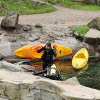 Eisbären und Kajaks