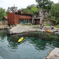 Eisbären und Kajaks