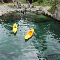 Eisbären und Kajaks