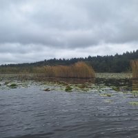 Mecklenburgische Kleinseen