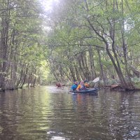 Mecklenburgische Kleinseen