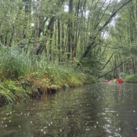 Mecklenburgische Kleinseen