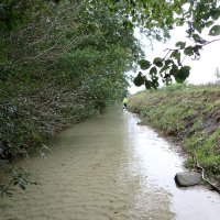 Mecklenburgische Kleinseen