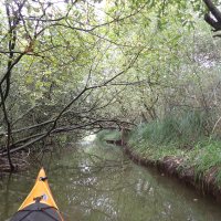 Mecklenburgische Kleinseen