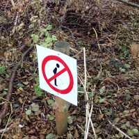 Mecklenburgische Kleinseen