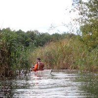 Mecklenburgische Kleinseen